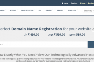 bruwink web hosting reviews