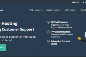webhostingbuzz web hosting review